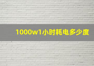 1000w1小时耗电多少度