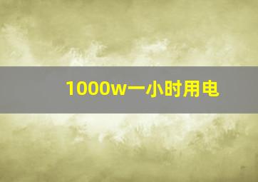 1000w一小时用电