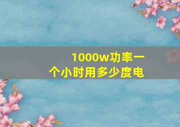 1000w功率一个小时用多少度电