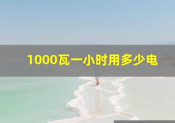 1000瓦一小时用多少电