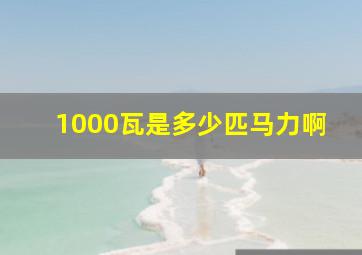 1000瓦是多少匹马力啊