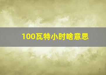 100瓦特小时啥意思