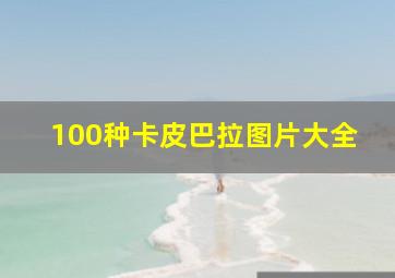 100种卡皮巴拉图片大全