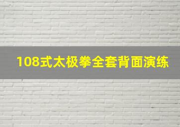 108式太极拳全套背面演练