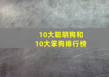 10大聪明狗和10大笨狗排行榜