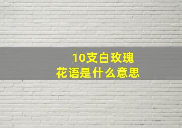 10支白玫瑰花语是什么意思