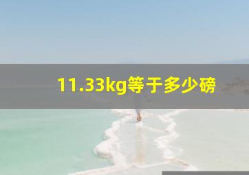 11.33kg等于多少磅