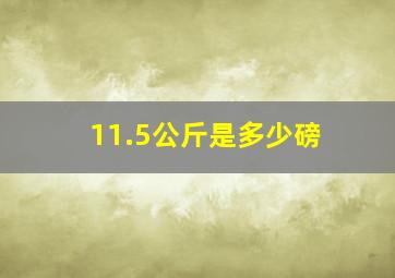 11.5公斤是多少磅