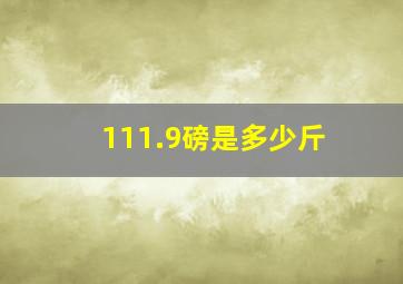 111.9磅是多少斤