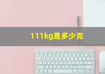 111kg是多少克