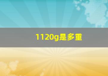 1120g是多重