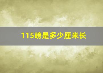 115磅是多少厘米长