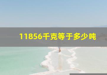 11856千克等于多少吨