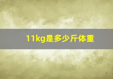 11kg是多少斤体重