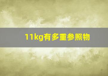 11kg有多重参照物