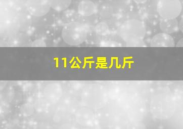 11公斤是几斤