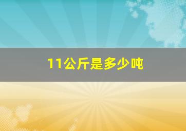 11公斤是多少吨