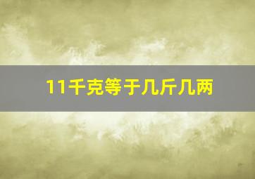 11千克等于几斤几两