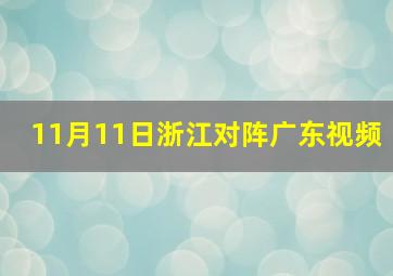 11月11日浙江对阵广东视频