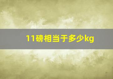 11磅相当于多少kg