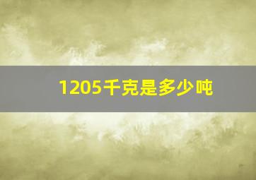 1205千克是多少吨