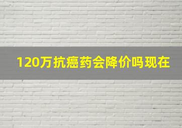 120万抗癌药会降价吗现在