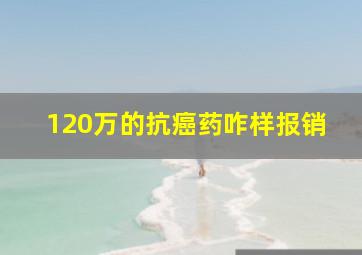 120万的抗癌药咋样报销