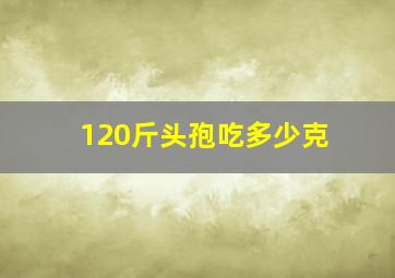 120斤头孢吃多少克