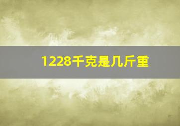 1228千克是几斤重