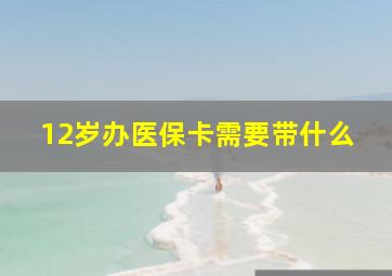 12岁办医保卡需要带什么