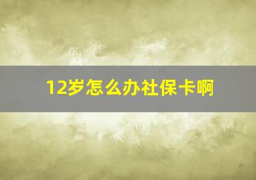 12岁怎么办社保卡啊