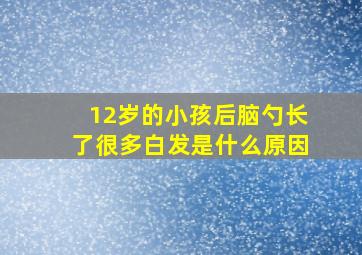 12岁的小孩后脑勺长了很多白发是什么原因