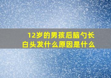 12岁的男孩后脑勺长白头发什么原因是什么