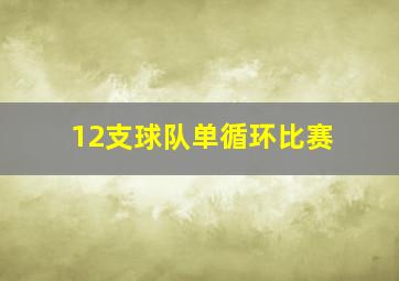 12支球队单循环比赛