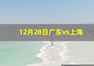 12月28日广东vs上海