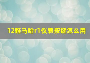 12雅马哈r1仪表按键怎么用