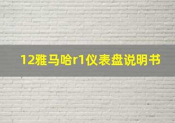 12雅马哈r1仪表盘说明书