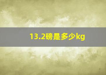 13.2磅是多少kg