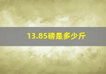 13.85磅是多少斤