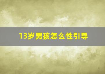 13岁男孩怎么性引导