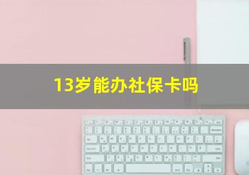 13岁能办社保卡吗