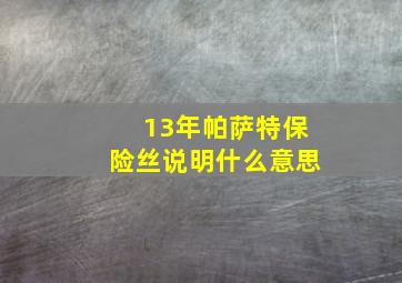 13年帕萨特保险丝说明什么意思