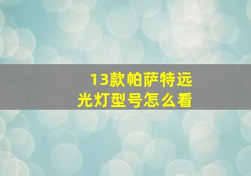 13款帕萨特远光灯型号怎么看