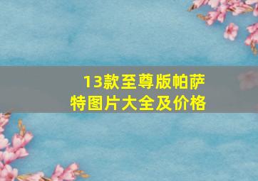 13款至尊版帕萨特图片大全及价格