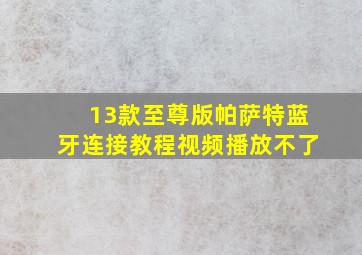 13款至尊版帕萨特蓝牙连接教程视频播放不了