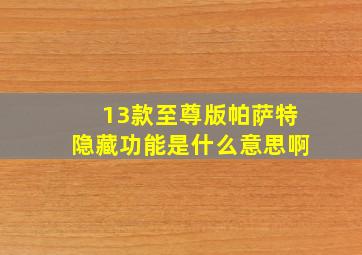 13款至尊版帕萨特隐藏功能是什么意思啊