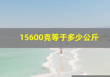 15600克等于多少公斤