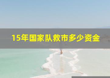 15年国家队救市多少资金