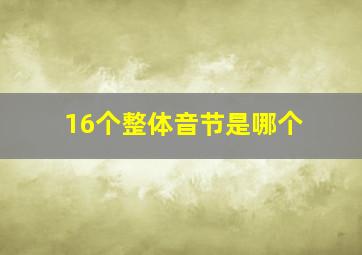 16个整体音节是哪个