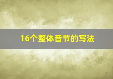 16个整体音节的写法